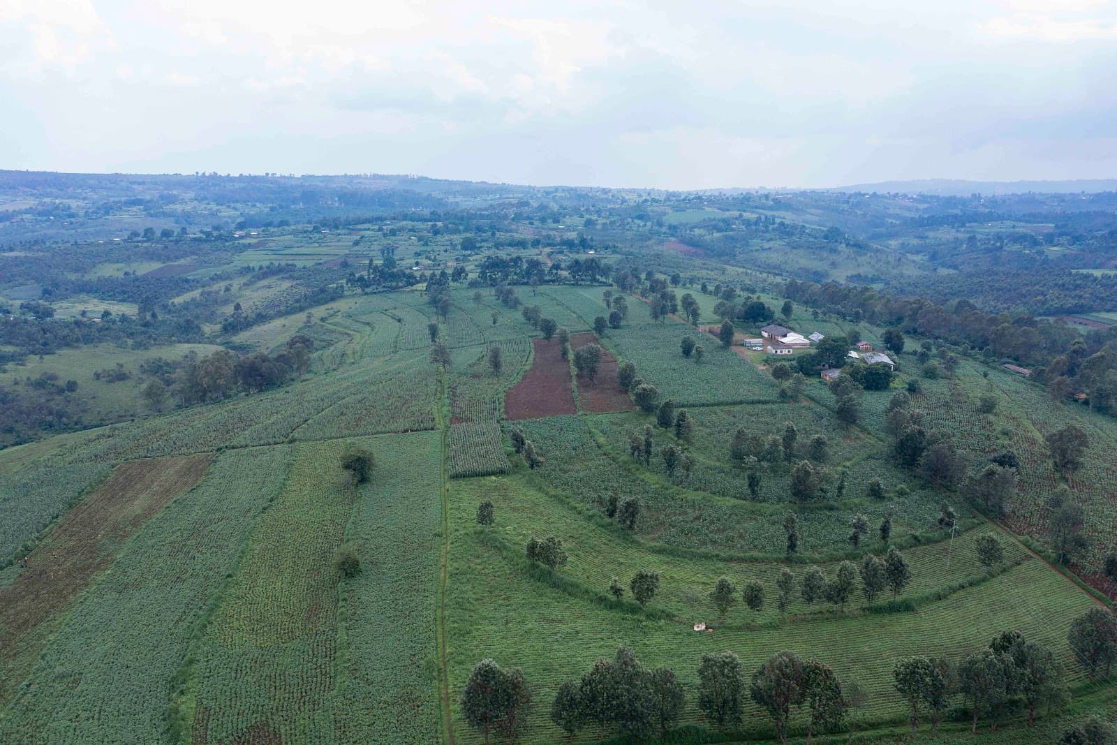 Collines du Mwaro