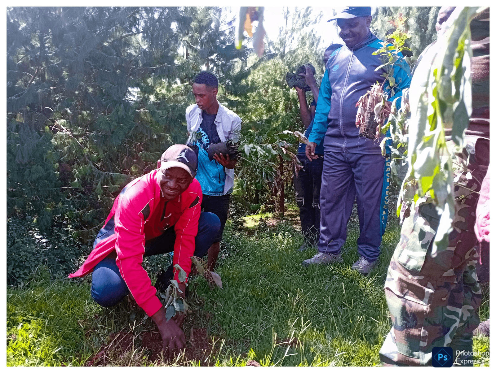 Plan de Reboisement Mwaro Vert